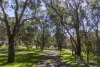 97 Lee-Steere Drive, Mariginiup, WA 6078-Image