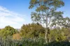 97 Marsden Road, West Ryde, NSW 2114-Image