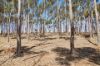 97 Milhinch Road, Carrickalinga SA 5204-Image
