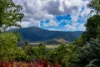 97 Muller Road, Myrtlevale, Qld 4800-Image