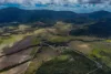 97 Muller Road, Myrtlevale, Qld 4800-Image