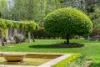 97 Osborne Road, Burradoo NSW 2576-Image