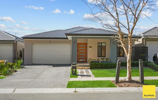 97 Sawsedge Avenue, Denham Court, NSW 2565
