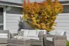 97 Sir James Fairfax Circuit, Bowral, NSW 2576-Image
