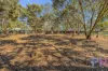 97 Williams Road, Myers Flat, Vic 3556-Image
