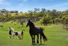 970 Kilmore-Glenaroua Road, Kilmore, Vic 3764-Image