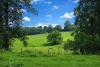 978 Jamberoo Road, Curramore NSW 2533-Image