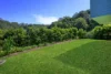 97B Campbell Drive, Wahroonga, NSW 2076-Image