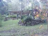 98 Advancetown Road, ADVANCETOWN QLD 4211-Image