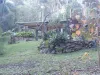 98 Advancetown Road, ADVANCETOWN QLD 4211-Image
