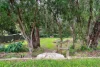 98 Amethyst Crescent, Mount Richon, WA 6112-Image