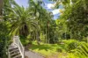 98 Andersons Road, Yandina, Qld 4561-Image