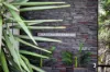 98 Fourth Avenue, Rosebud, Vic 3939-Image