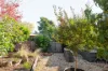 98 Irvine Street, Watson, ACT 2602-Image
