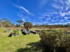 98 McKechnie Road, Ruby Creek, NSW 4380-Image