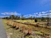 98 McKechnie Road, Ruby Creek, NSW 4380-Image