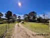 98 McKechnie Road, Ruby Creek, NSW 4380-Image