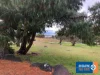 98 Riverview Court, Jindabyne, NSW 2627-Image