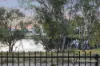 98 Roxburghe Drive, The Vines, WA 6069-Image