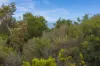 98 Surf Beach Road, Cape Paterson VIC 3995-Image