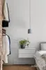 98 Wilson Street, Brunswick, Vic 3056-Image
