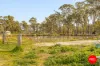 980 Calder Alternative Highway, Lockwood, Vic 3551-Image