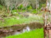980 Inman Valley Road, Inman Valley, SA 5211-Image