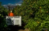 982-988 George Downs Drive, Kulnura, NSW 2250-Image