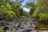9853 Vasse Highway, Peerabeelup, WA 6260-Image