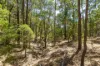 9853 Vasse Highway, Peerabeelup, WA 6260-Image