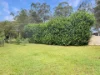 986 Dunoon Road, Modanville NSW 2480-Image