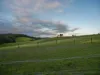 988 Brandy Creek Road, Rokeby, Vic 3821-Image