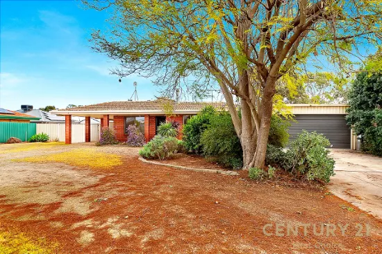 989 Stebonheath Road, Munno Para West, SA 5115