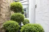 99 Adelaide Parade, Woollahra, NSW 2025-Image