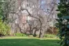 99 Arthur Street, East Launceston, Tas 7250-Image