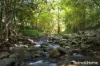 99 Bong Bong Road, Broughton Vale, NSW 2535-Image