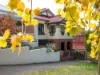 99 Burnett Street, North Hobart, Tas 7000