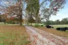 99 Fisher Road, Drouin West, Vic 3818-Image