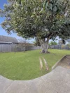 99 Fortescue Avenue, Seaford, Vic 3198-Image