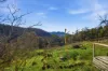 99 Glen Dhu Road, Molesworth, Tas 7140-Image