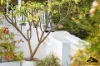 99 Gregory Street, Beachlands, WA 6530-Image