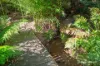 99 Hazeldene Road, Gladysdale, Vic 3797-Image