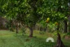 99 Homestead Road, Morayfield, Qld 4506-Image