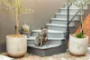 99 Laman Street, Cooks Hill, NSW 2300-Image