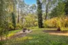 99 Mt Pleasant Road, Monbulk, Vic 3793-Image