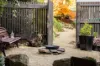 99 Mt Pleasant Road, Monbulk, Vic 3793-Image