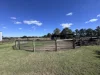 99 Oakwood Street, Dalby, Qld 4405-Image