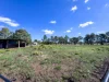 99 Oakwood Street, Dalby, Qld 4405-Image