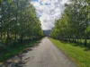 99 Pages Road, Grove, Tas 7109-Image