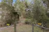 99 Paper Beach Road, Swan Point, Tas 7275-Image